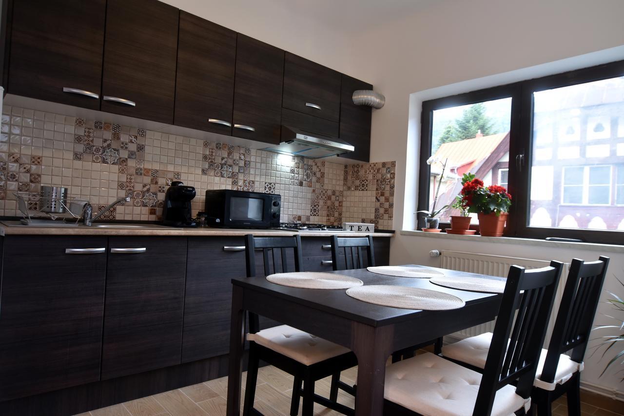 Residence Sinaia Apartments Zewnętrze zdjęcie